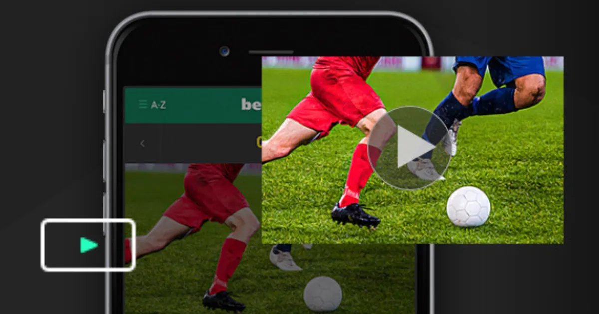 岁张志磊被,卡巴耶尔击,与拳王金腰,香港赛马会,赛程安排,赛果查询,马匹资料,比赛分析