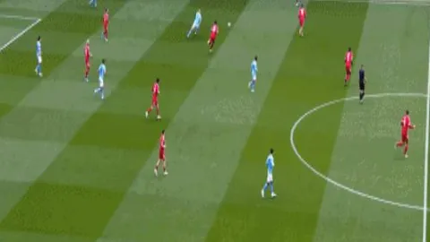 钓鱼指南：鱼竿、鱼饵选择与钓点推荐